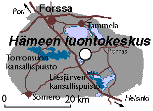 Tietotori – Osallistu ja vaikuta | Tammela | Julkiset palvelut